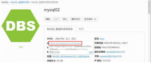全面掌握甲骨文云 OCI MySQL 服務 從自動運維到高效管理的數據庫管理及咨詢實戰指南